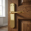Puxador em Zamak modelo '6501' com acabamento dourado brilhante com placa oval para portas 