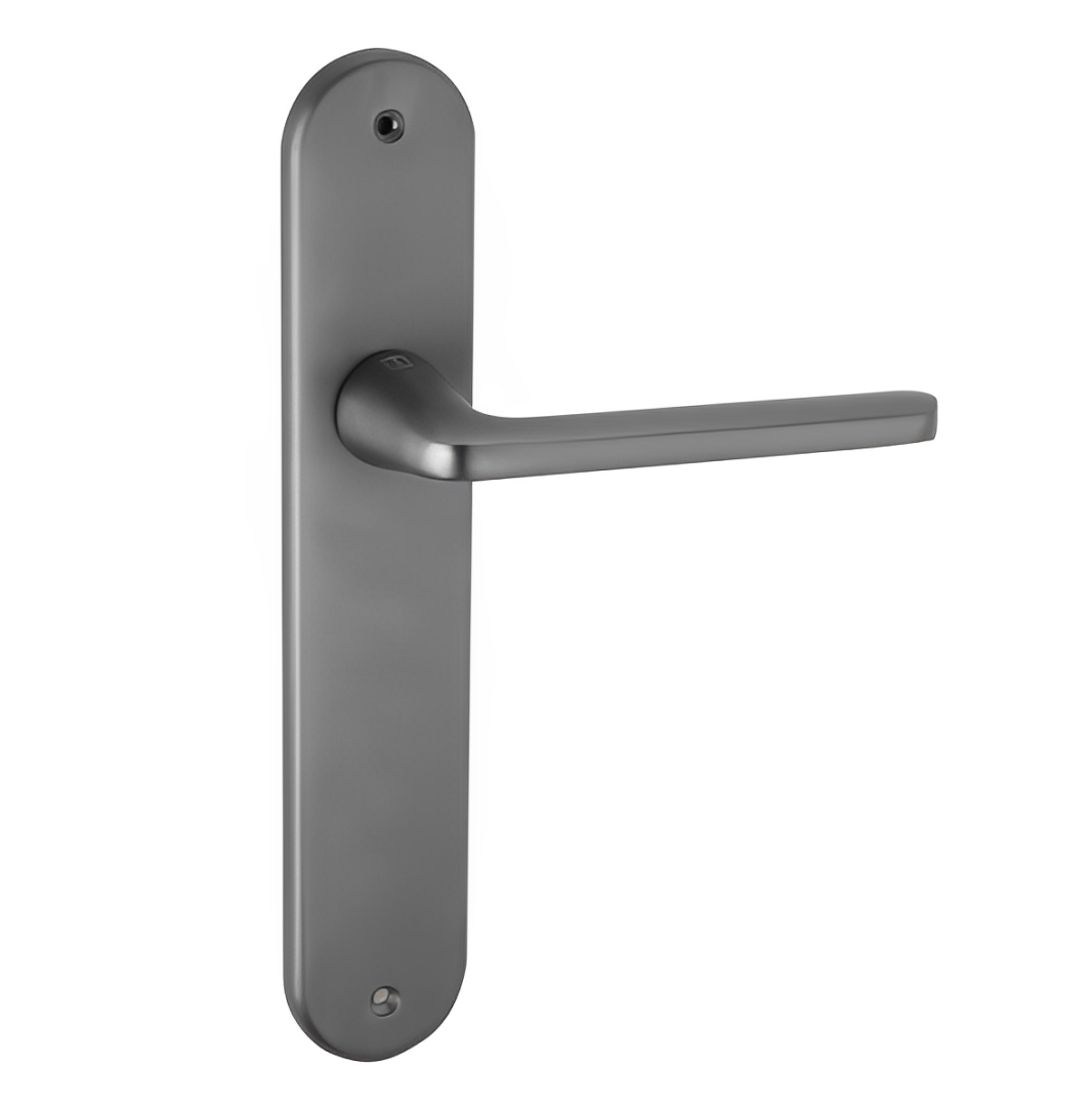Manilla con placa ovalada de aluminio níquel satinado 250x48 mm