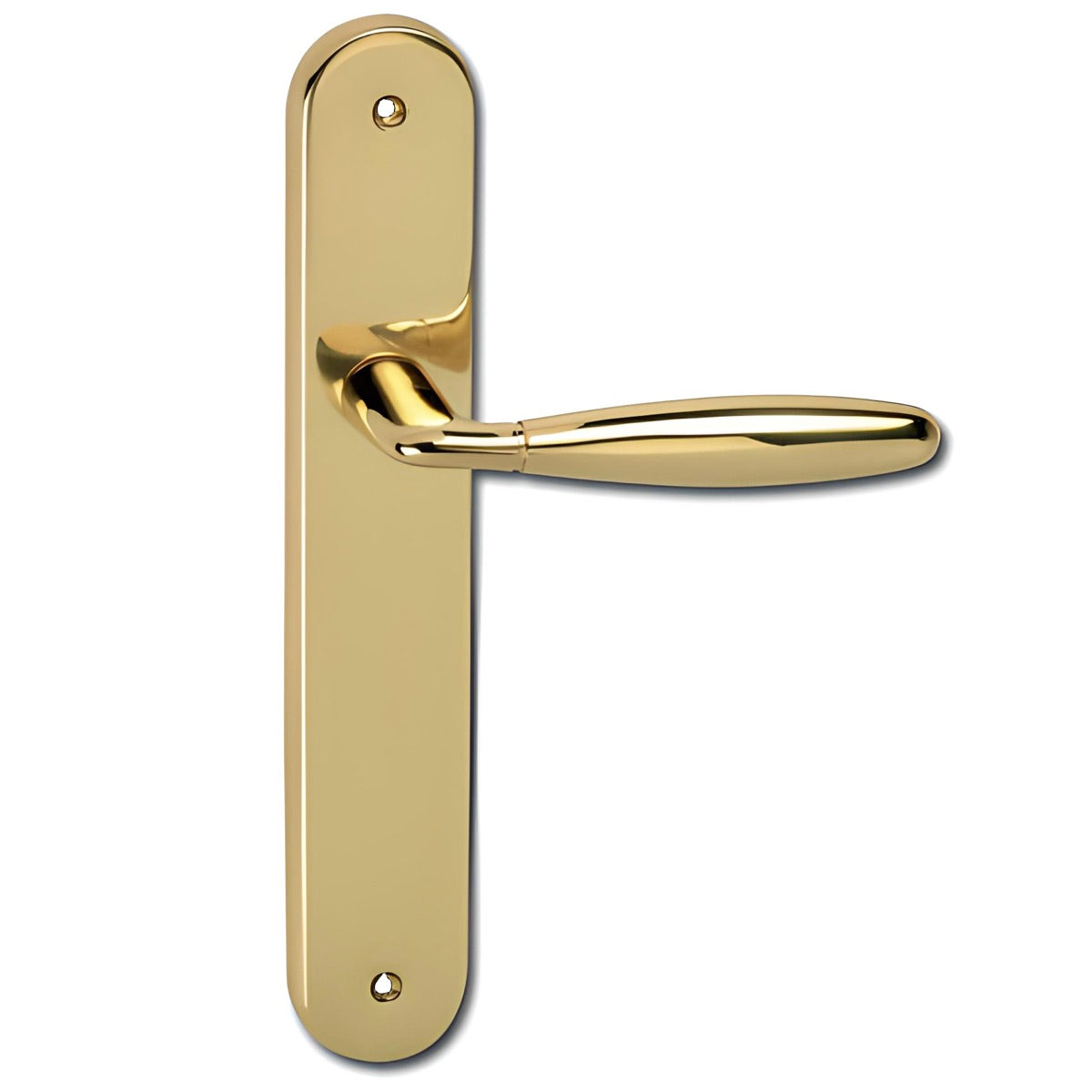 Puxador em latão com acabamento dourado brilhante com placa oval para portas modelo '151' 