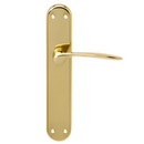 Puxador com placa oval em latão dourado modelo Pep para portas 
