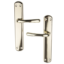 Puxador em Zamak modelo '6501' com acabamento dourado brilhante com placa oval para portas 